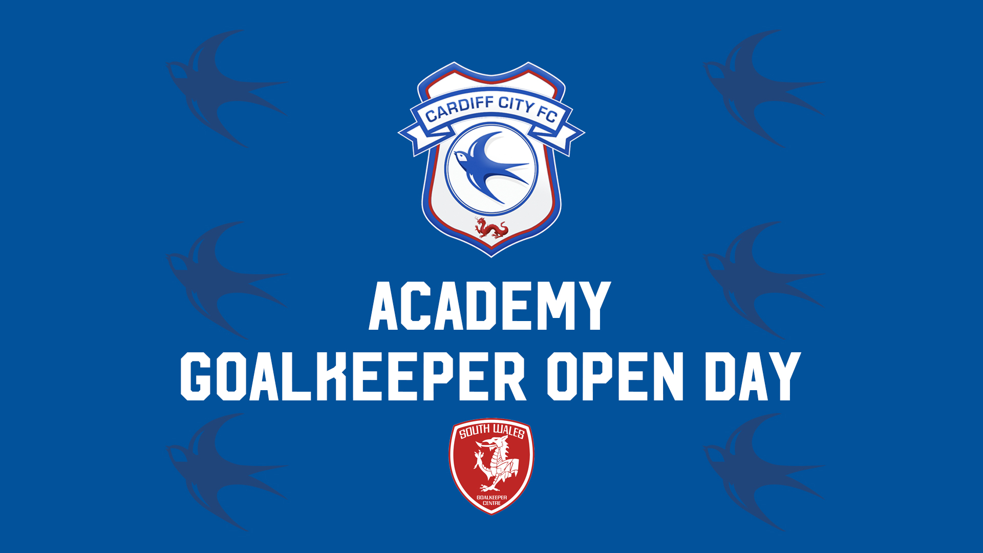 academy-sign-up-for-our-goalkeeper-open-day-cardiff